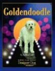 Goldendoodle